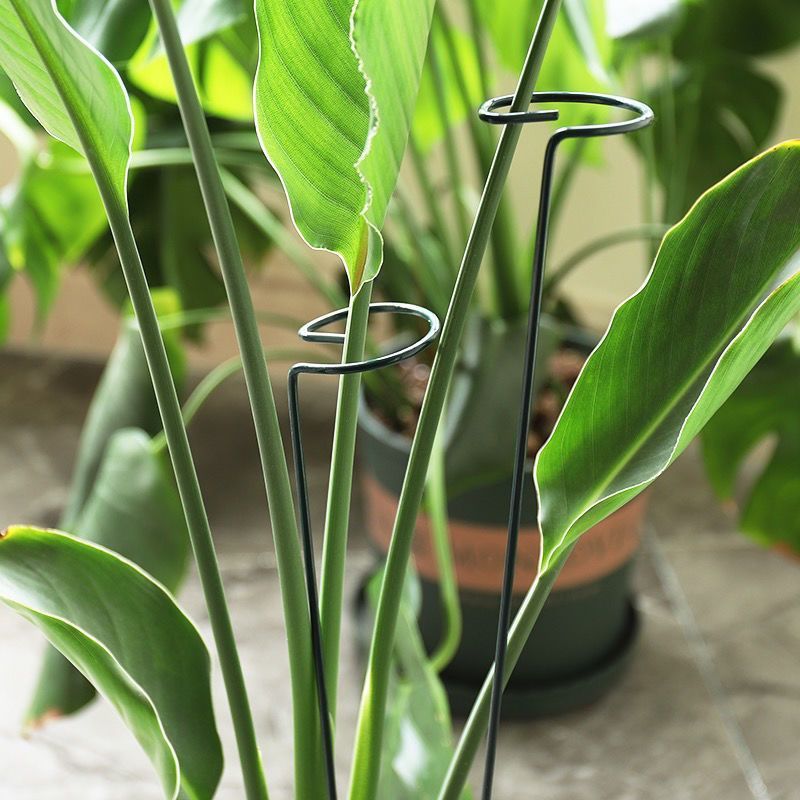 1/10pcs Garden Support Stake R - Gardening Tools Hoe recension och pris