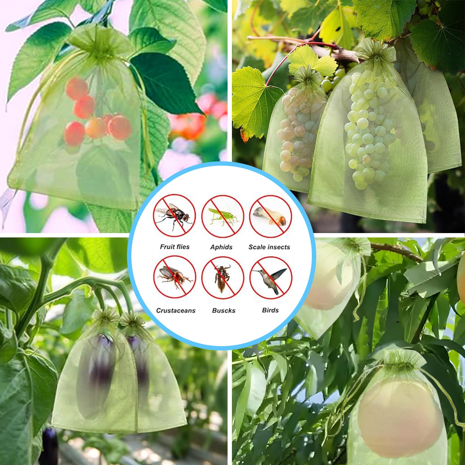 Effective Anti-Bird Netting Fr - Gardening Tools Bag recension och pris