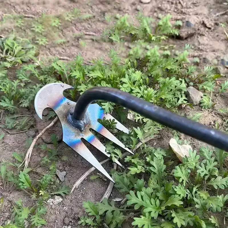 Manganese Steel Garden Weeders - Grass Seed Spreader recension och pris