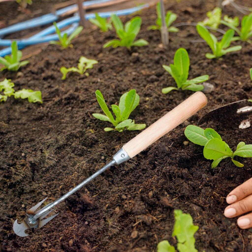 Garden Weeding Tool Gardening  - Gardening Tools Hoe recension och pris